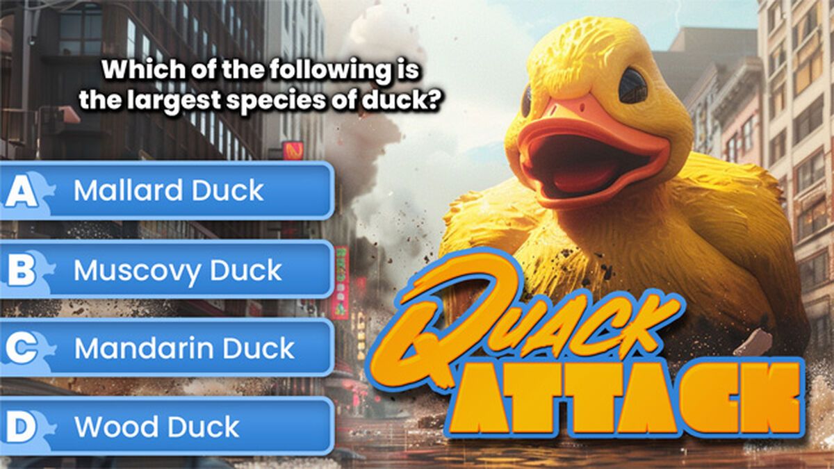 Quack Attack image number 4